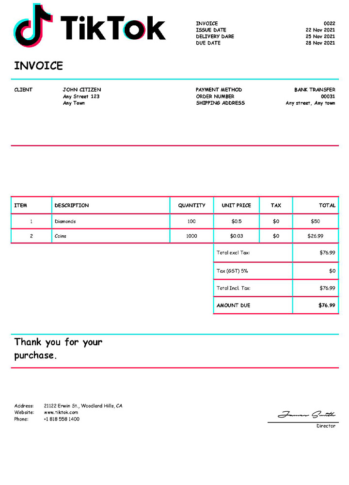 USA Tik Tok invoice PSD template
